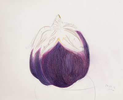 Johanna Lackner, Aubergine